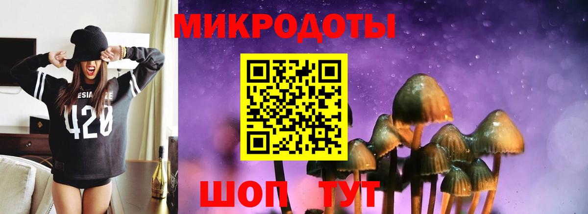 Галлюциногенные грибы GOLDEN TEACHER Ейск